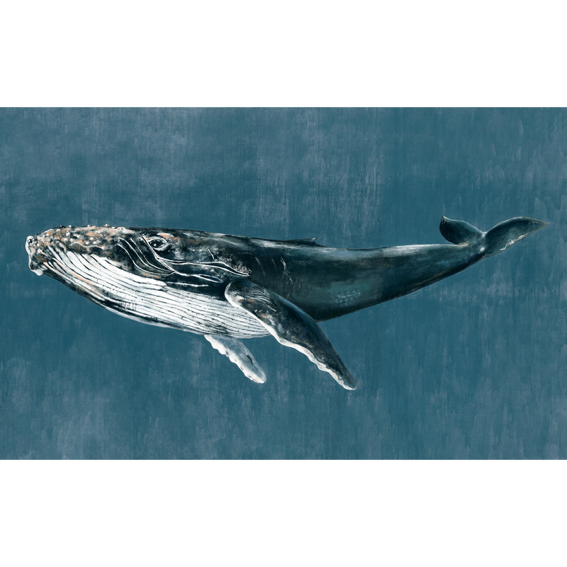 Humpback Whale Vintage Naturae Mural by Coordonné (450x280cm)