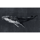 Humpback Whale Night Naturae Mural by Coordonné (450x280cm)
