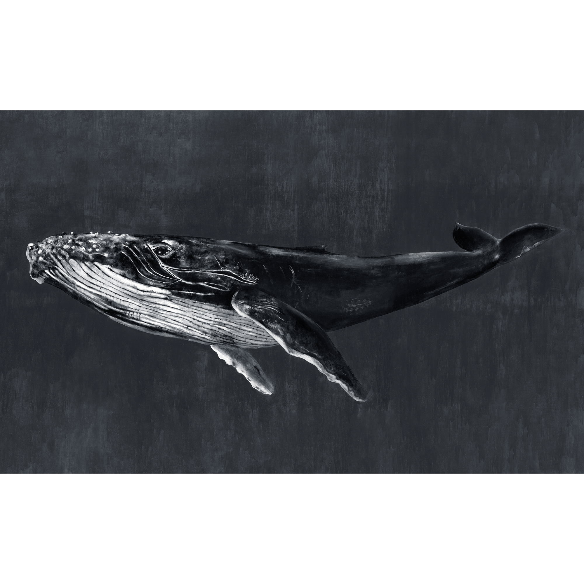 Humpback Whale Night Naturae Mural by Coordonné (450x280cm)