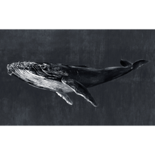 Humpback Whale Night Naturae Mural by Coordonné (450x280cm)