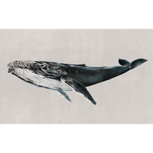 Humpback Whale Grey Naturae Mural by Coordonné (450x280cm)