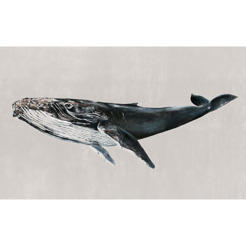 Humpback Whale Grey Naturae Mural by Coordonné (450x280cm)