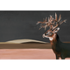Great Deer Nude Naturae Mural by Coordonné (400x280cm)