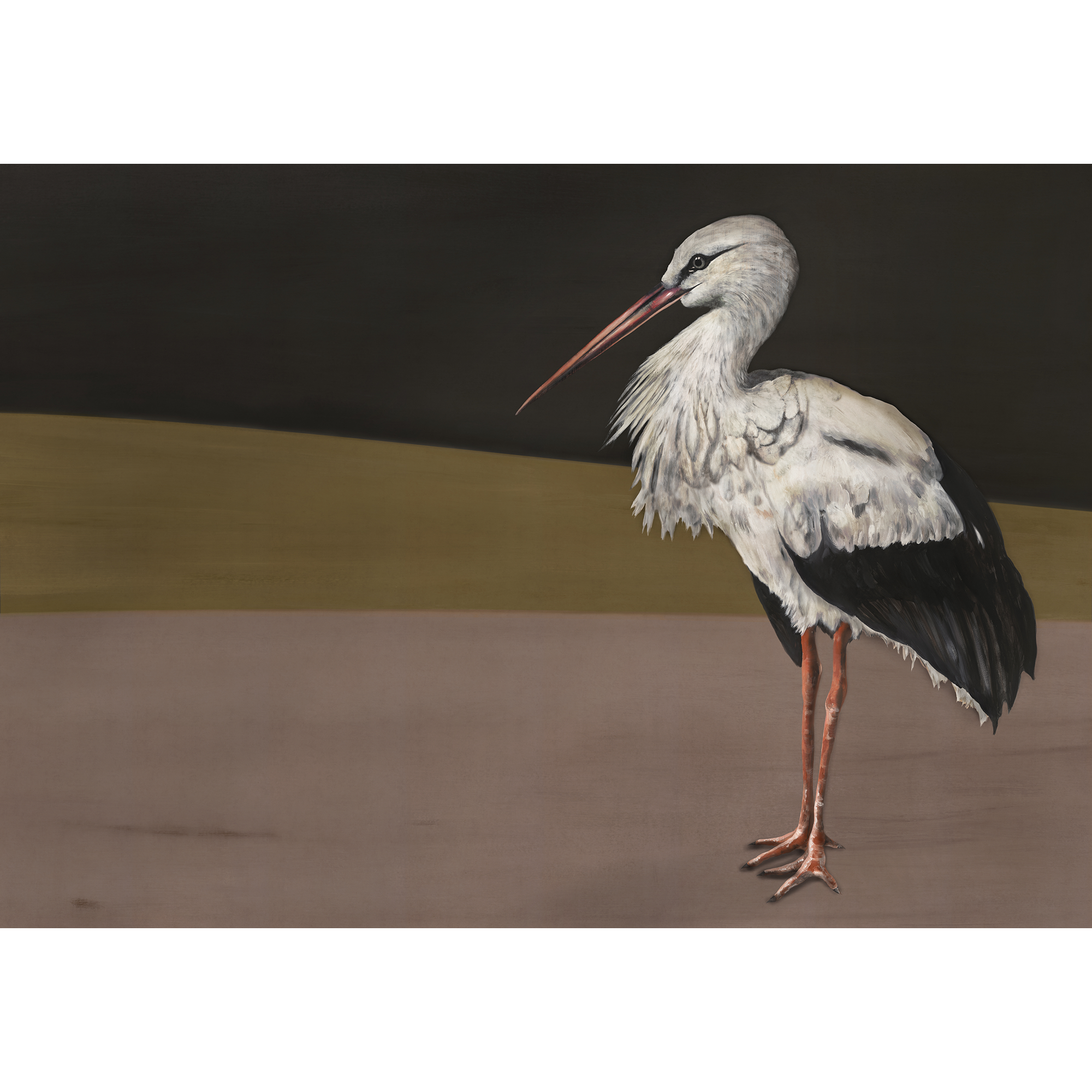 Stork Mother Black Naturae Mural by Coordonné (400x280cm)