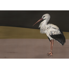 Stork Mother Black Naturae Mural by Coordonné (400x280cm)