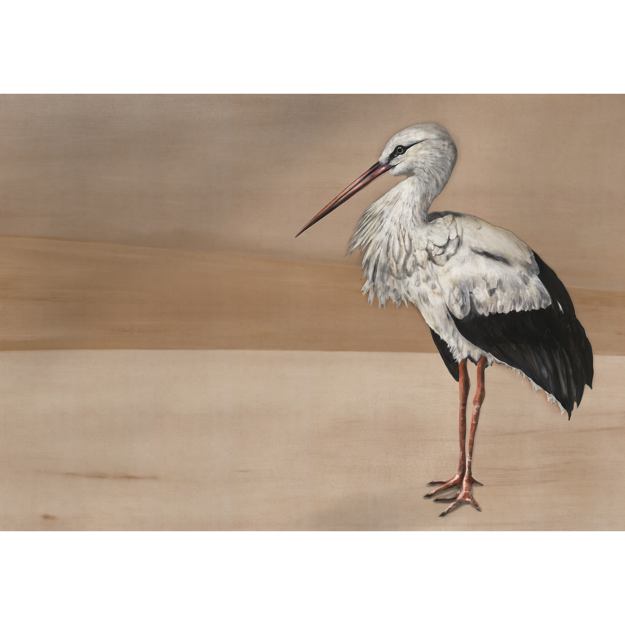 Stork Mother Nude Naturae Mural by Coordonné (400x280cm)