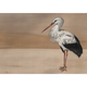 Stork Mother Nude Naturae Mural by Coordonné (400x280cm)