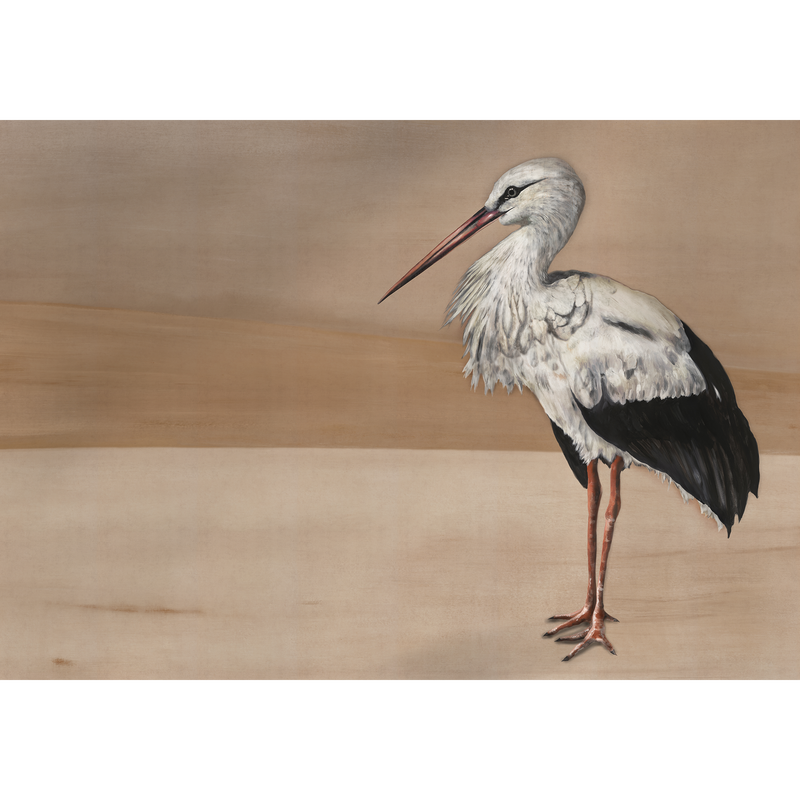 Stork Mother Nude Naturae Mural by Coordonné (400x280cm)