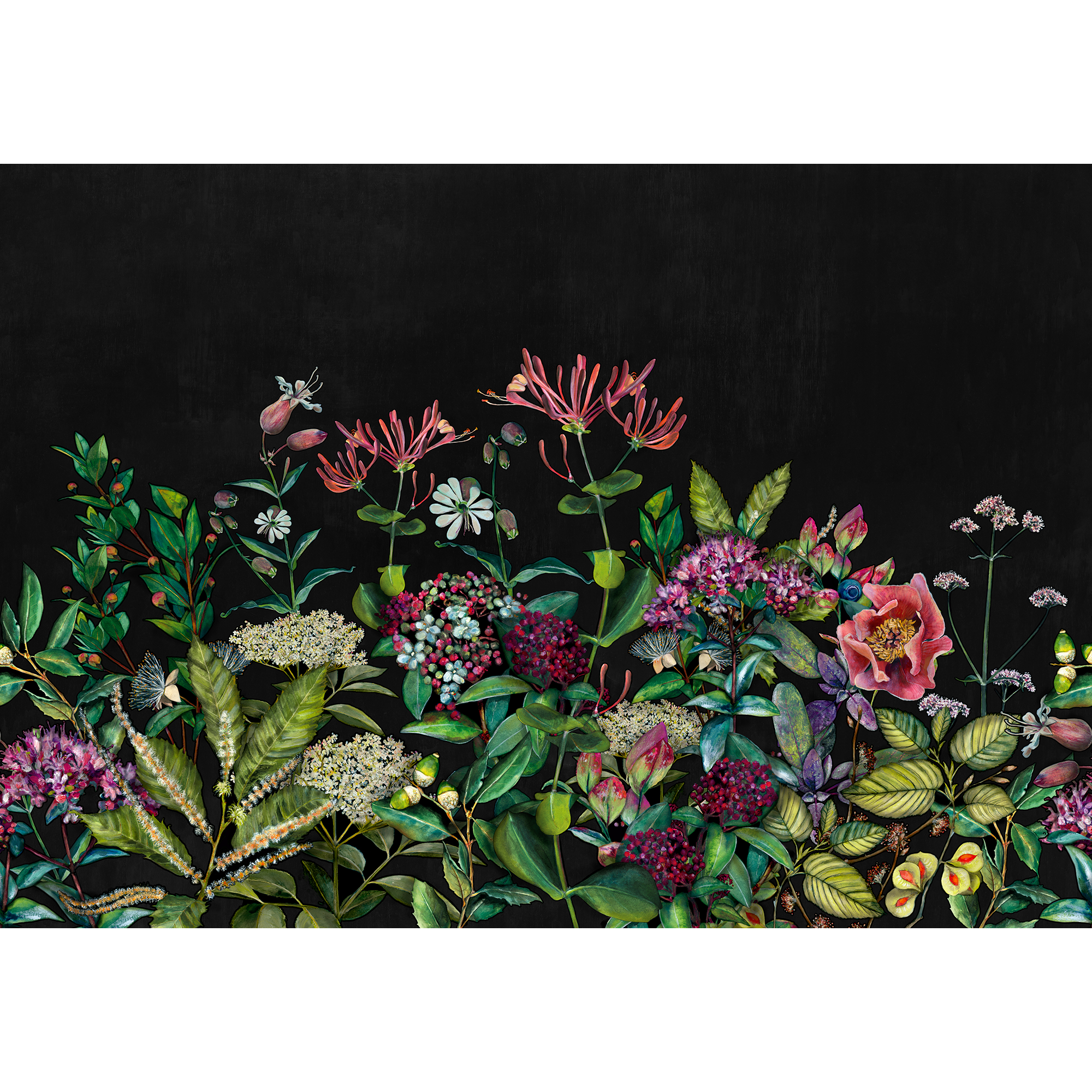 Wild Floral Night Naturae Mural by Coordonné (400x280cm)