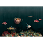Deep Ocean Atlantic Naturae Mural by Coordonné (400x280cm)