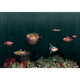Deep Ocean Atlantic Naturae Mural by Coordonné (400x280cm)