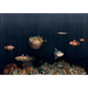 Deep Ocean Mediterranean Naturae Mural by Coordonné (400x280cm)