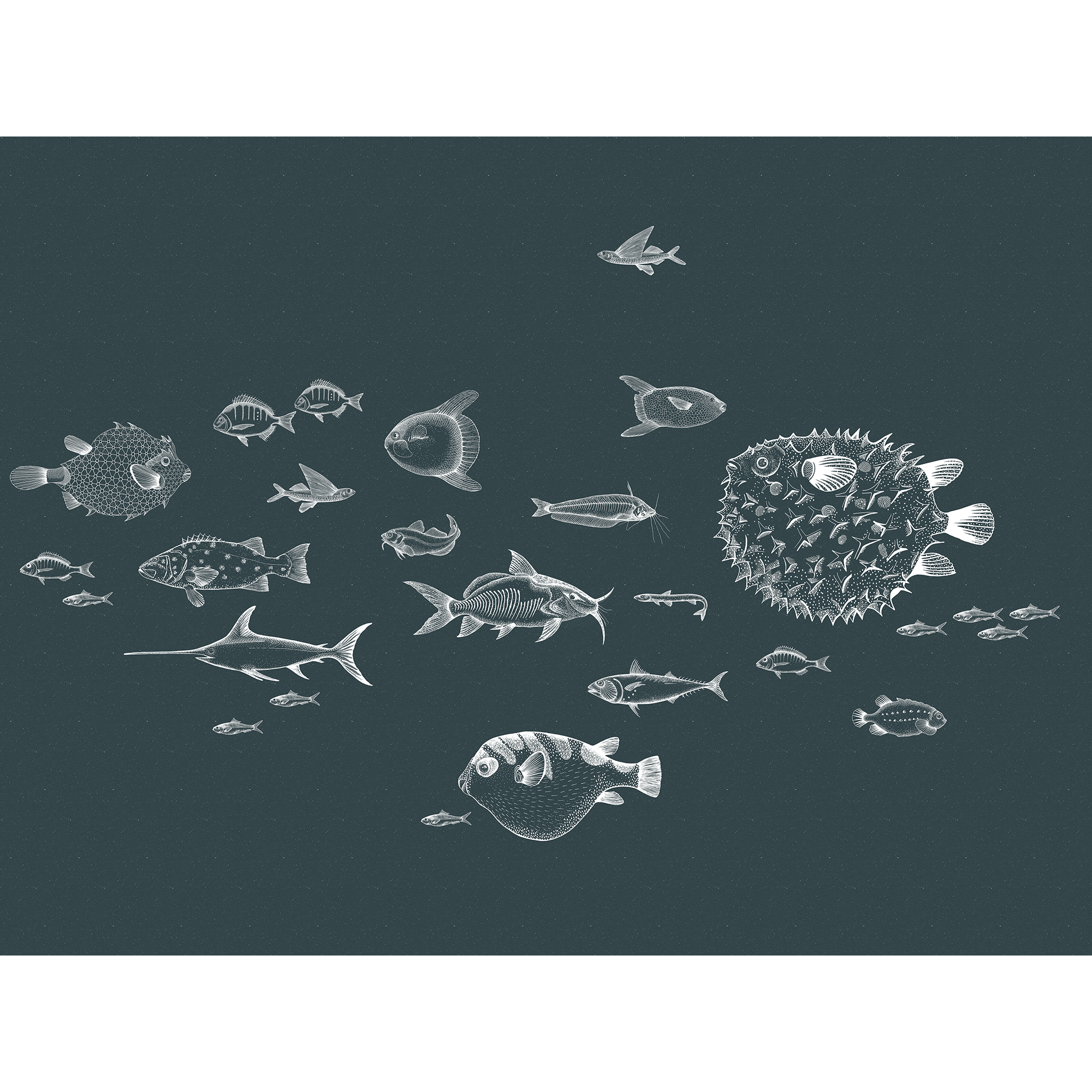 Sea Current Navy Naturae Mural by Coordonné (400x280cm)