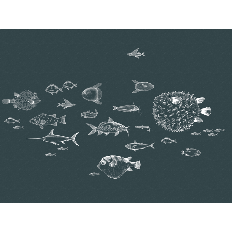 Sea Current Navy Naturae Mural by Coordonné (400x280cm)