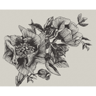 Giant Peonies Ink Naturae Mural by Coordonné (400x280cm)