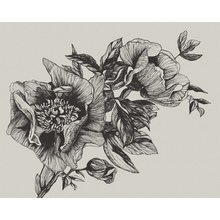 Giant Peonies Ink Naturae Mural by Coordonné (400x280cm)