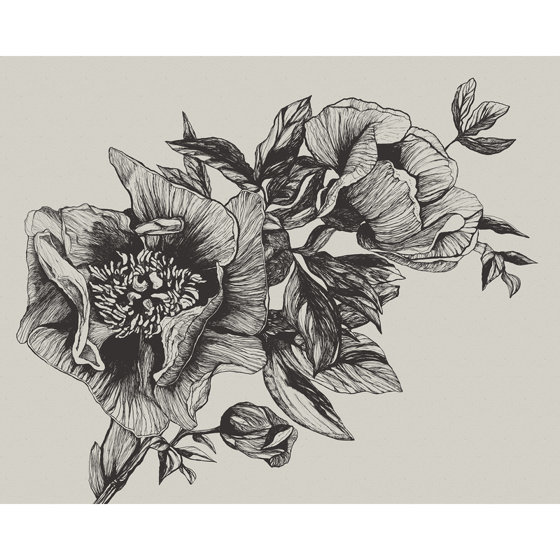 Giant Peonies Ink Naturae Mural by Coordonné (400x280cm)