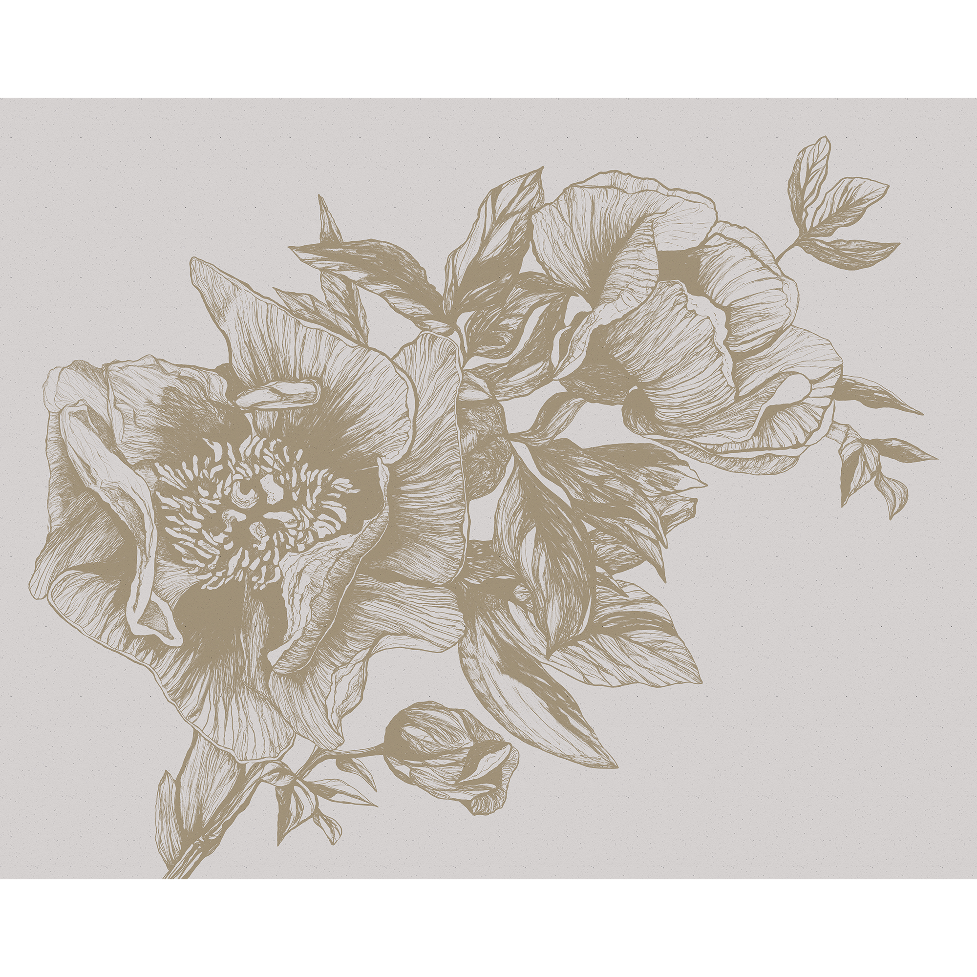 Giant Peonies Papirus Naturae Mural by Coordonné (400x280cm)