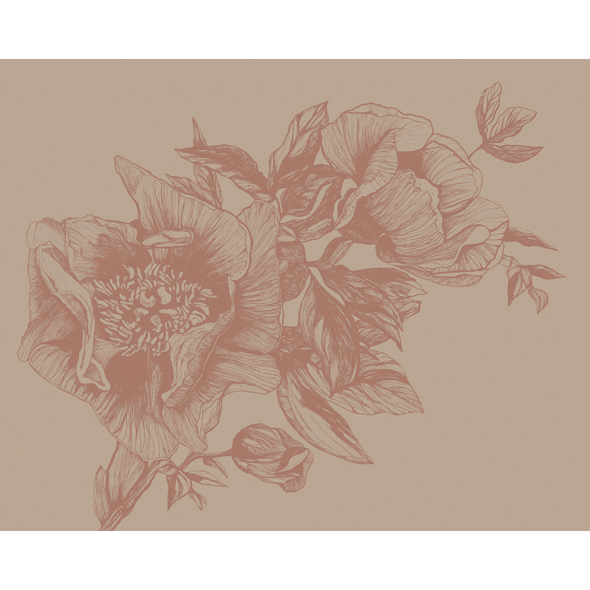 Giant Peonies Nude Naturae Mural by Coordonné (400x280cm)