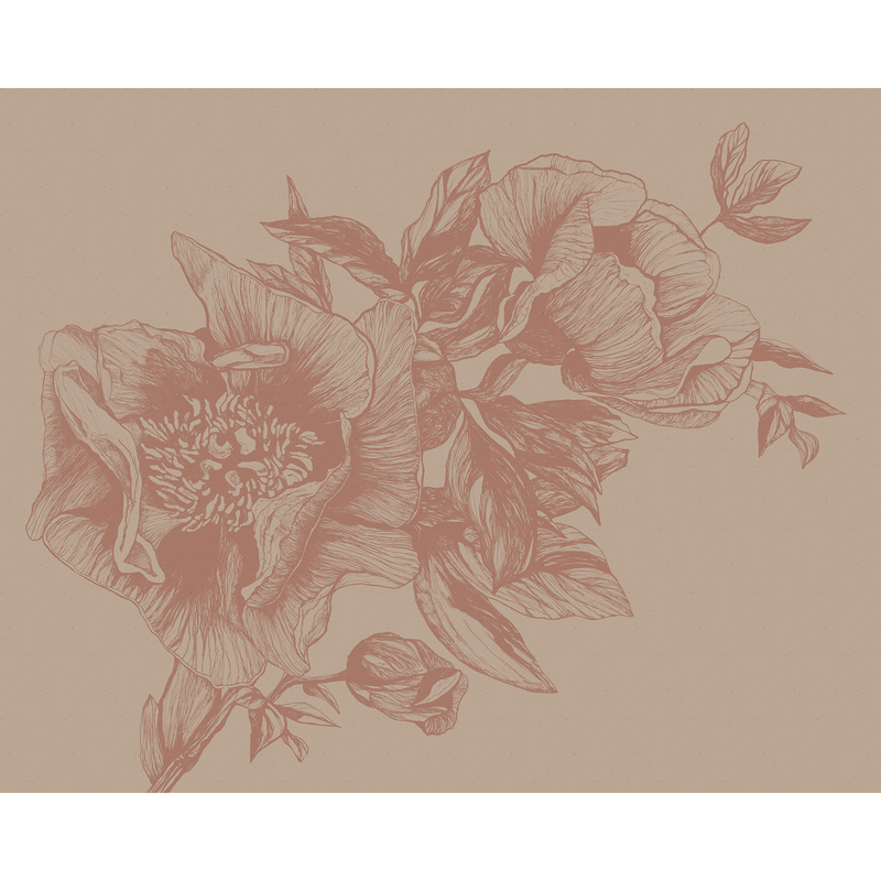 Giant Peonies Nude Naturae Mural by Coordonné (400x280cm)