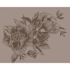 Giant Peonies Cacao Naturae Mural by Coordonné (400x280cm)
