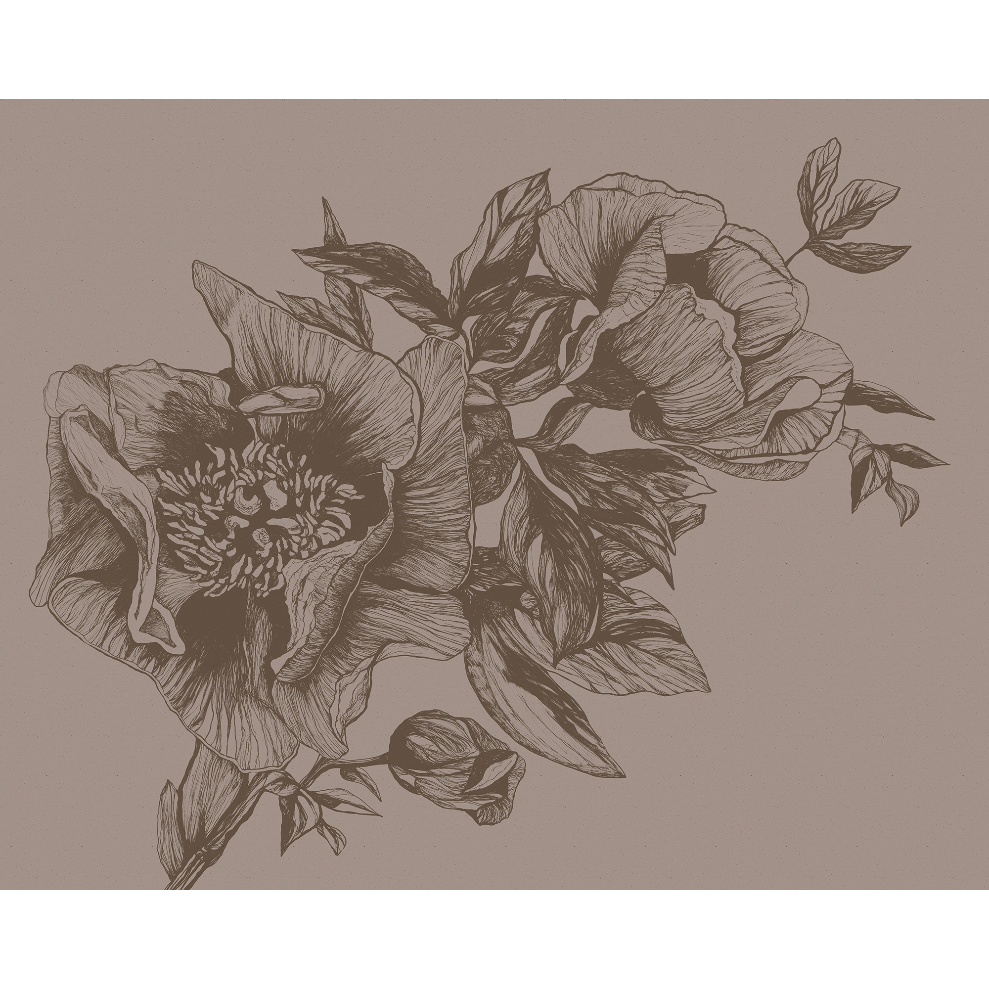 Giant Peonies Cacao Naturae Mural by Coordonné (400x280cm)