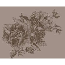 Giant Peonies Cacao Naturae Mural by Coordonné (400x280cm)