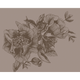 Giant Peonies Cacao Naturae Mural by Coordonné (400x280cm)