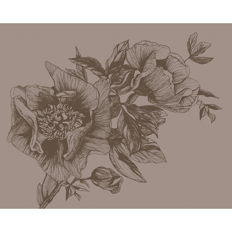 Giant Peonies Cacao Naturae Mural by Coordonné (400x280cm)