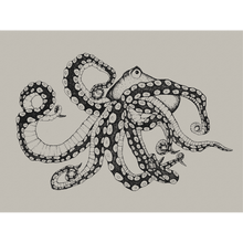 Octopus X-Ray Ink Naturae Mural by Coordonné (400x280cm)