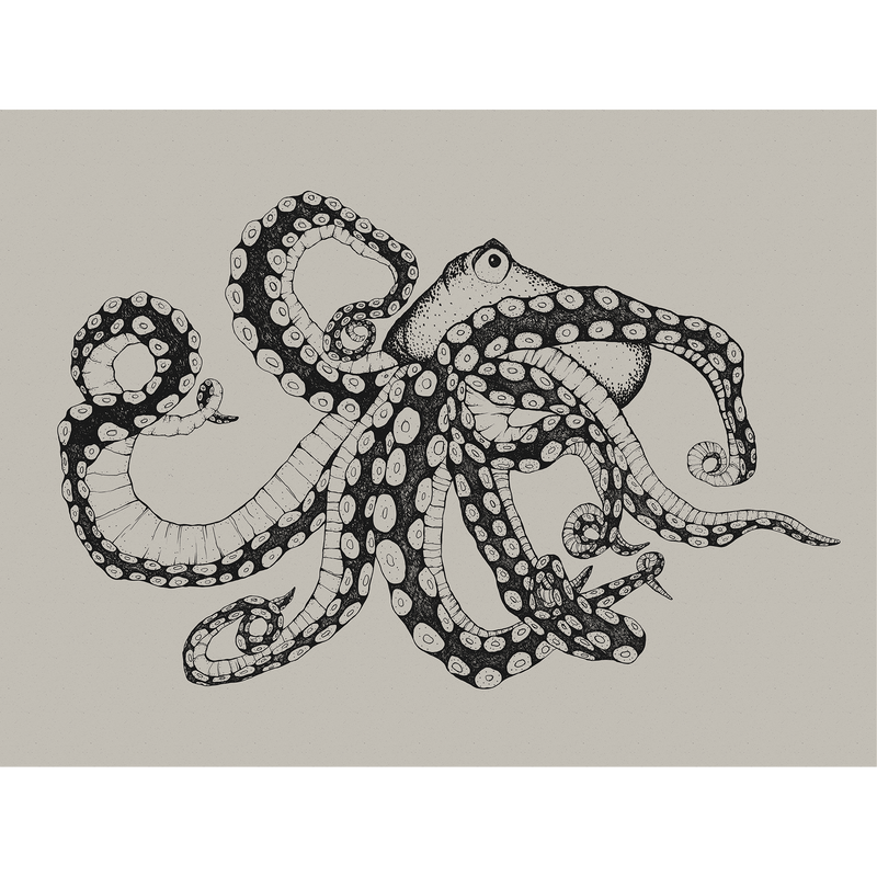 Octopus X-Ray Ink Naturae Mural by Coordonné (400x280cm)