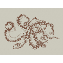 Octopus X-Ray Papirus Naturae Mural by Coordonné (400x280cm)