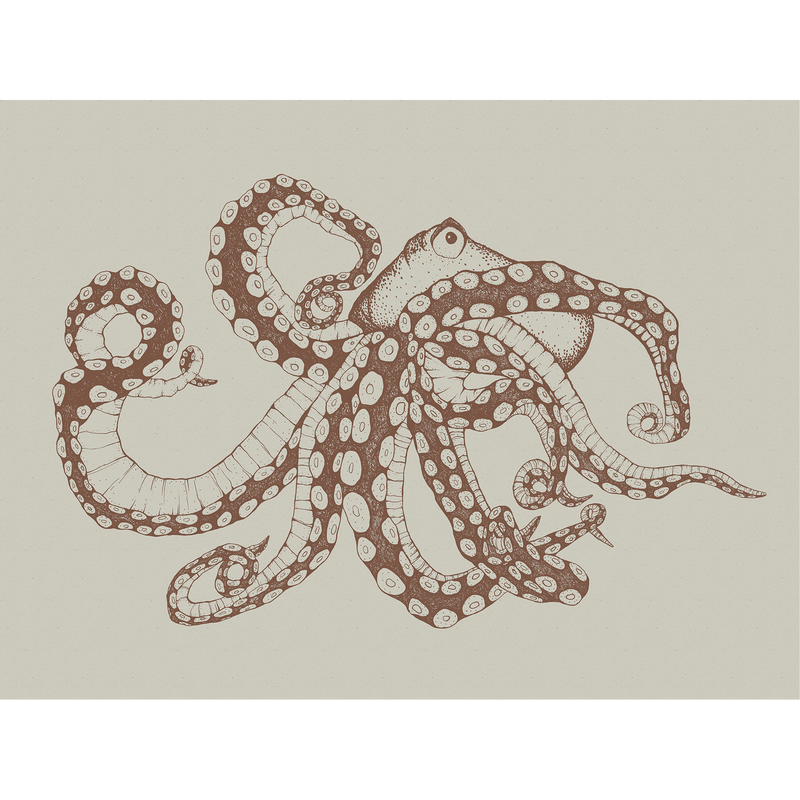 Octopus X-Ray Papirus Naturae Mural by Coordonné (400x280cm)
