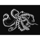 Octopus X-Ray Black Naturae Mural by Coordonné (400x280cm)