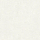 95262-1 Styleguide Colours 2024 Wallpaper by A S Creation