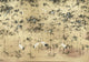 Garzas Gold Random Metallics Mural by Coordonné