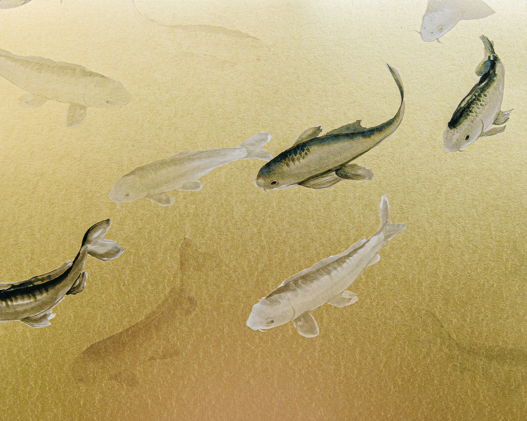 9600060 Koi Gold Random Metallics Mural by Coordonné
