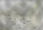 9600061 Silver Random Metallics Mural by Coordonné
