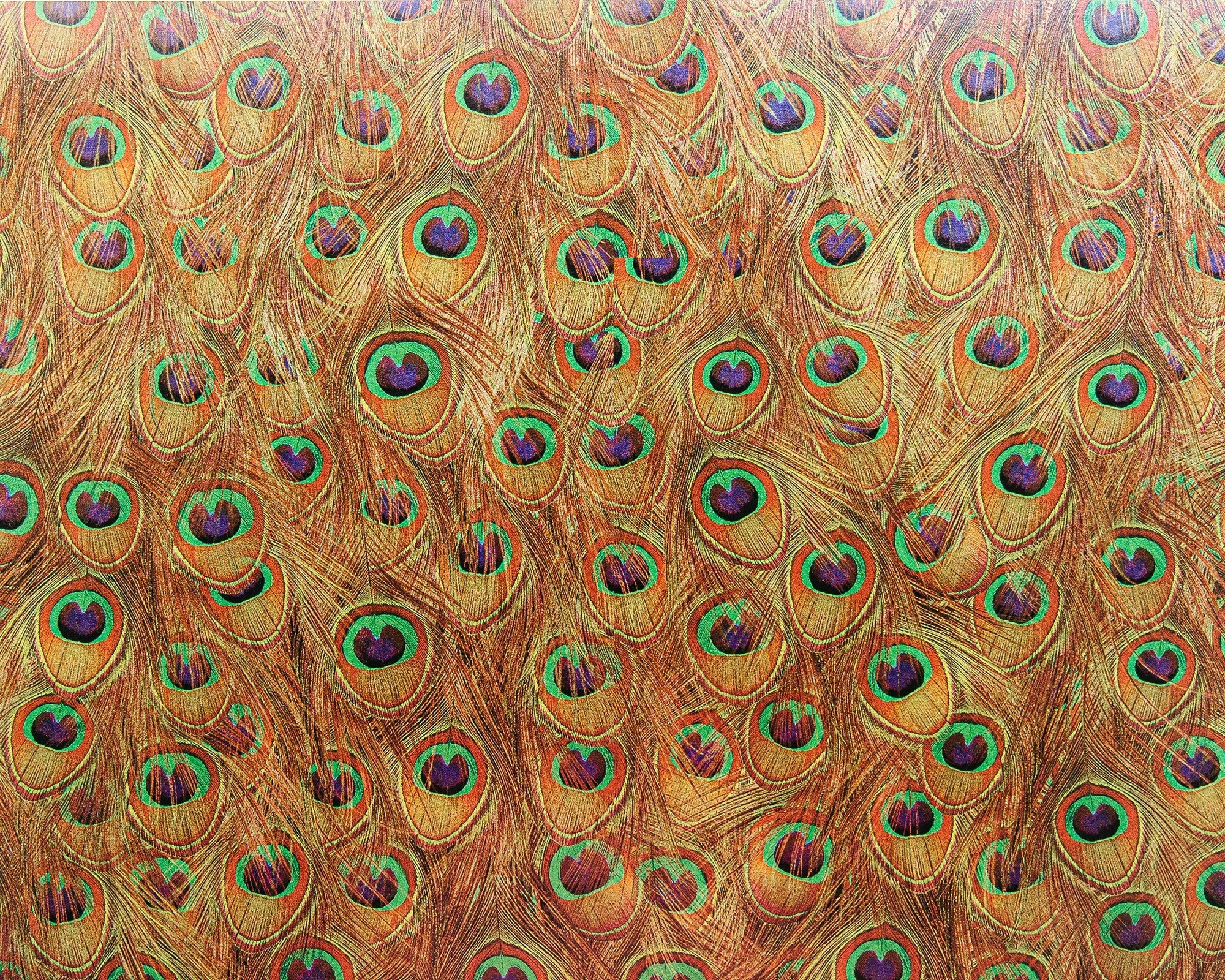 9600090 Peafowl Gold Random Metallics Mural by Coordonné