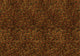 Peafowl Gold Random Metallics Mural by Coordonné