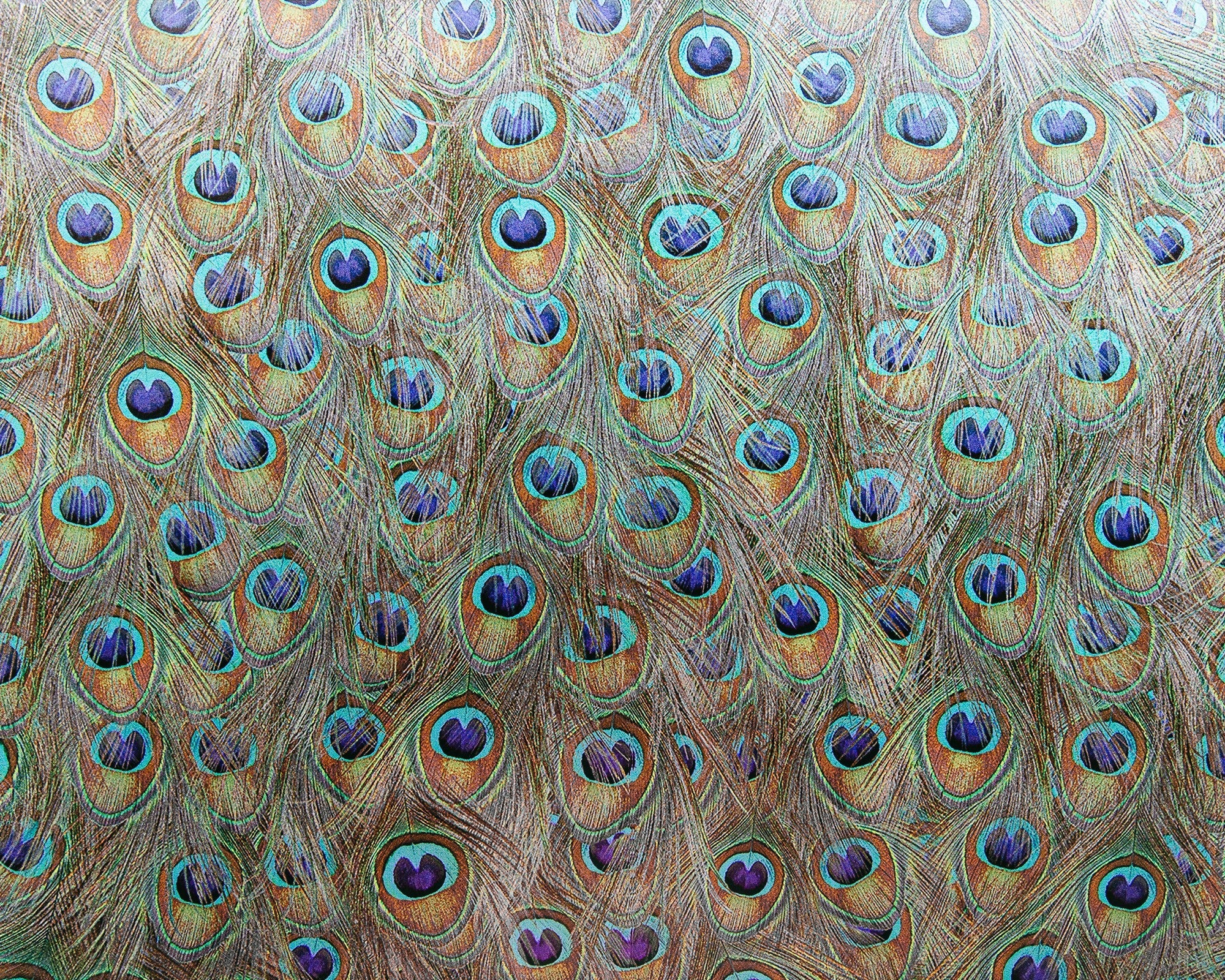 9600091 Silver Random Metallics Mural by Coordonné