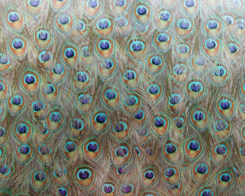 9600091 Silver Random Metallics Mural by Coordonné