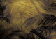 Palms Extra Gold Random Metallics Mural by Coordonné
