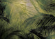 Palms Silver Random Metallics Mural by Coordonné