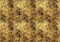 Star Colission Gold Random Metallics Mural by Coordonné