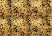 9600700 Star Colission Gold Random Metallics Mural by Coordonné