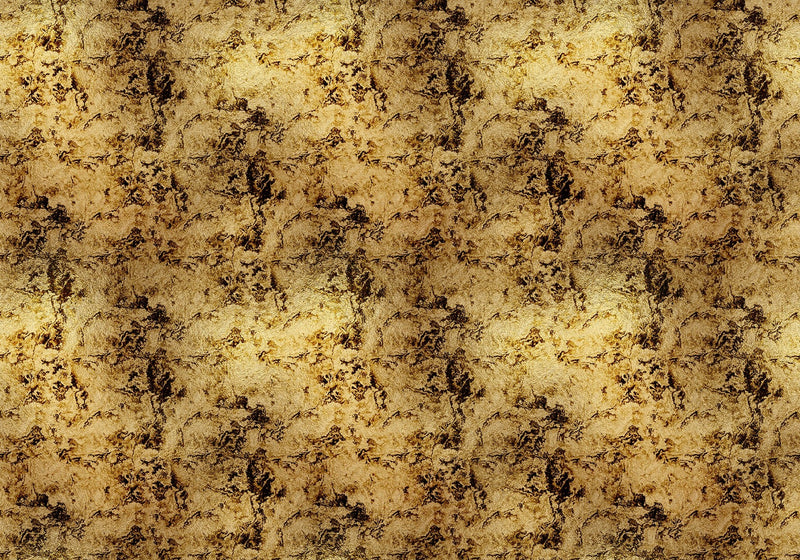 9600700 Star Colission Gold Random Metallics Mural by Coordonné