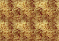 Star Colission Extra Gold Random Metallics Mural by Coordonné