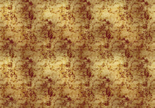 9600702 Extra Gold Random Metallics Mural by Coordonné