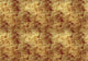 Star Colission Extra Gold Random Metallics Mural by Coordonné